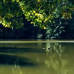 Διαμέρισμα Nagymaros Apartman