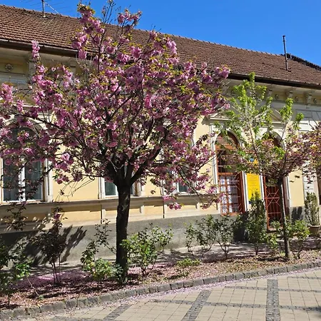 Nagymaros Apartman דירה