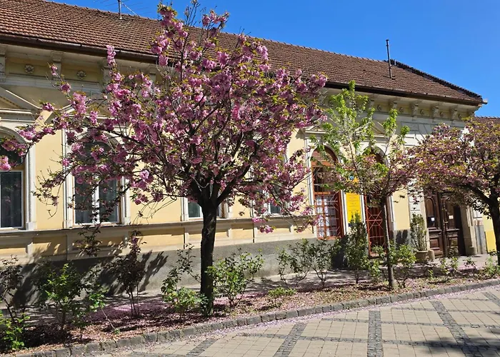 Nagymaros Apartman Apartament